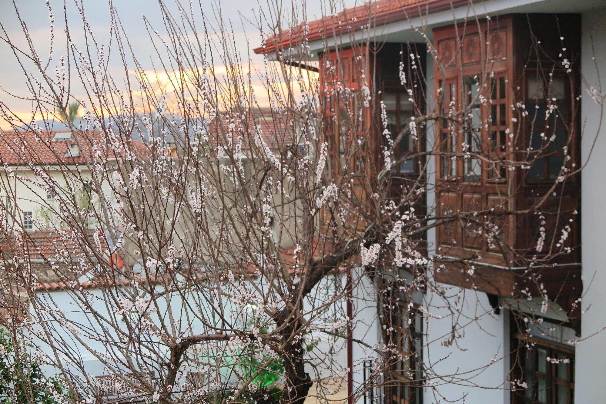 Ephesus Paradise Hotel Selçuk Bagian luar foto